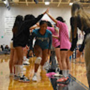 Meet your Posher, Rosa